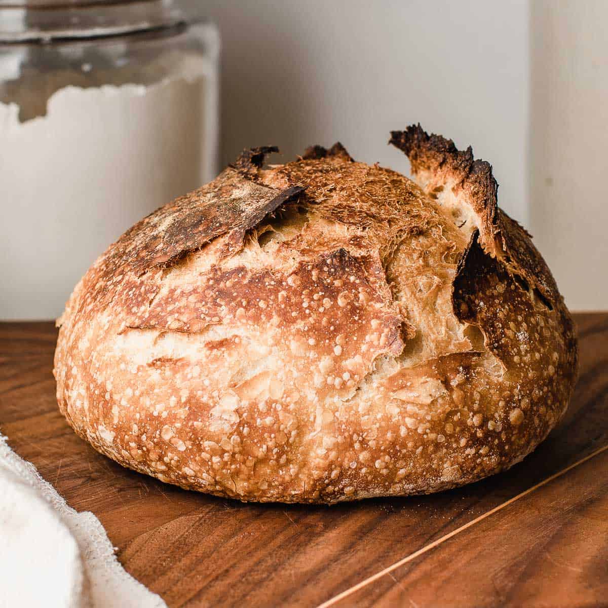 Standard Sourdough Bread (1)